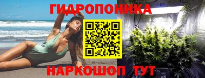 гашик Нарткала