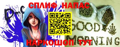 гашик Нарткала
