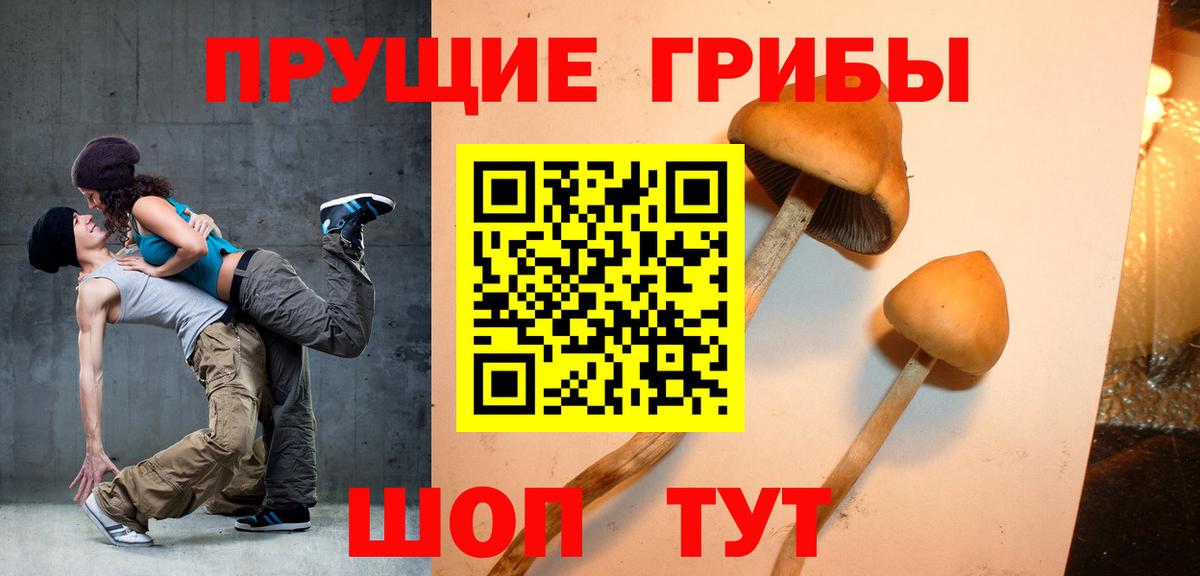Псилоцибиновые грибы GOLDEN TEACHER  Вход с VPN  Галлюциногенные грибы Psilocybine cubensis  Удомля 